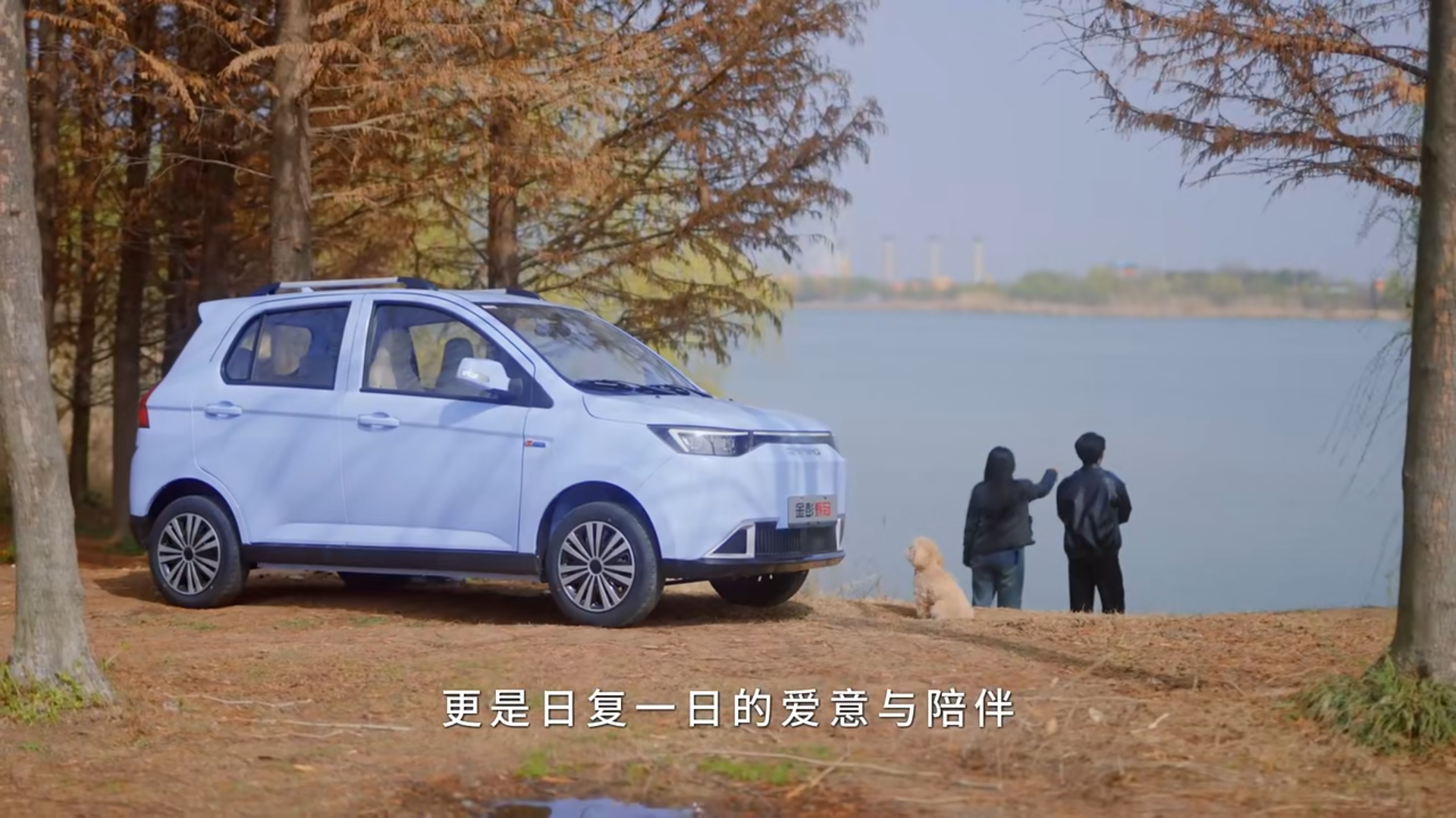 Низкоскоростная электромобиль YD