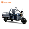Электрический грузовый триколес C-ZJ150