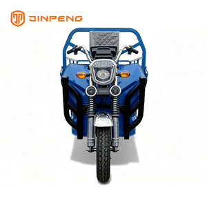 Электрический грузовой трехколесный велосипед JG160