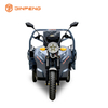 Электрический грузовый триколес C-ZJ150